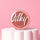 SevenCool Silky Blusher Powder